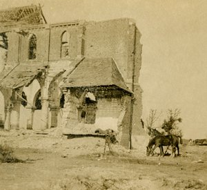 Pferde weiden in der Nähe einer zerstörten Kirche, Frise, Nordfrankreich, ca. 1914-1918
