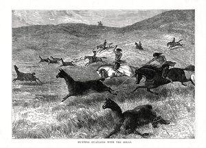 Jagd auf Guanakos mit der Bolas, Südamerika, 1877