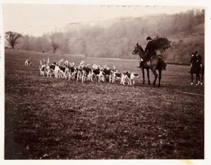 Jäger und Hunde, um 1905