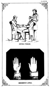 Hypnose: Introvision, die Kraft, in einen Körper zu schauen, 1889