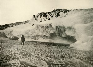 Eisblumen auf neu gebildetem Meereis zu Beginn des Winters, ca. 1908, 1909