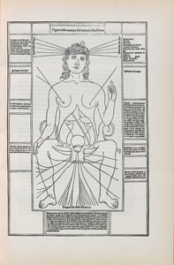Illustration aus Fasciculo di medicina von Johannes de Ketham, 1493 von Unbekannt