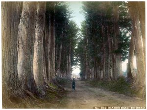 Imaichi-Straße in Nikko, Japan, frühes 20. Jahrhundert