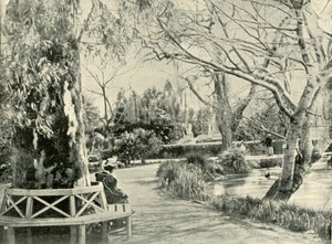 Im Botanischen Garten, Adelaide, 1901