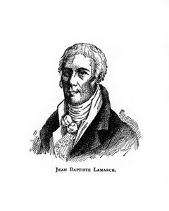 Jean-Baptiste Lamarck, französischer Naturforscher, 20. Jahrhundert