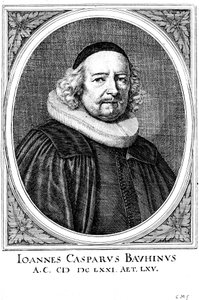 Jean Caspar Bauhin 1606-1659, Schweizer Arzt und Botaniker