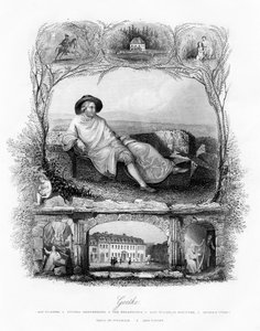 Johann Wolfgang von Goethe, deutscher Dichter, Dramatiker und Wissenschaftler, 19. Jahrhundert von Unbekannt