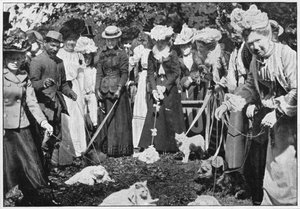 Katzenbewertung bei der Royal Botanic Gardens Show, Kew, London, ca. 1900-1901
