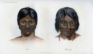 Juri und Botocudos, der Brasilio-Guarani-Nation, 1848