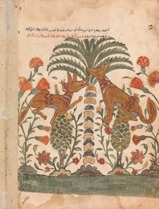 Kalila tadelt Dimna, Folio aus einem Kalila wa Dimna, 18. Jahrhundert