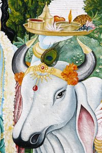 Kamdhenu, heilige Kuh, Kathmandu, Nepal