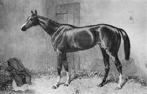 Kesselpauke, ca. 1860er, 1911