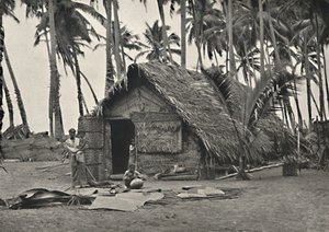 Kokospalmen und Eingeborenenhütte aus Kokosblättern an den Stämmen links, angebundene Blätter