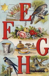 Buchstaben E F G H; Schwalbe; Fächer; Blumen; Kuchen; Tasse; Hachette; Schwalbe. Gravur in "Alphabet de ma petite fille". Bernardin-Bechet und Fils, Buchhändler-Verleger, Paris, um 1895. Unzerbrechliches Album auf Leinwand. Bibliotheque des Bebes. 12 Seite von Unbekannt