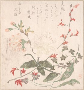 Lilie, Veilchen, Kirschblüten, Forsythie und ein Zweig roter Ahorn, 18.-19. Jahrhundert