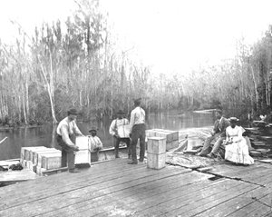Orangenverladung am Ocklawaha River, Florida, USA, ca. 1900