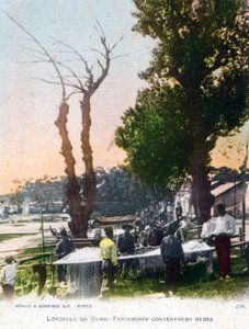 Lordelo do Ouro, bei Porto, Portugal, 1903 von Unbekannt