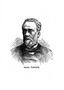 Louis Pasteur, französischer Mikrobiologe und Chemiker des 19. Jahrhunderts, 20. Jahrhundert
