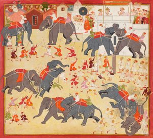 Maharana Raj Singh beobachtet einen Elefantenkampf von Unbekannt