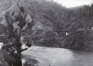 Manawatu-Schlucht, spätes 19. bis frühes 20. Jahrhundert von Unbekannt