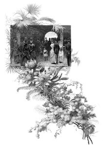 Manly Wildblumenschau, Sydney, New South Wales, Australien, 1886 von Unbekannt