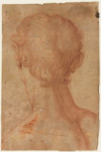 Männerkopf von hinten, 16. Jahrhundert
