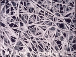 Mikrographien (Licht) Chemotextilgewebe, Lichtmikrographie