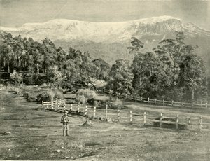 Mount Wellington, von der Huon Road, 1901
