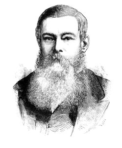 Herr J. H. Brand, Präsident des Oranje-Freistaats, um 1880 von Unbekannt