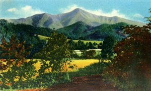 Mr. Pisgah und die Ratte in der Ferne, West-North Carolina, 1942 von Unbekannt