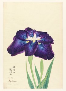 Berg Kyodai (Kyodaisan)