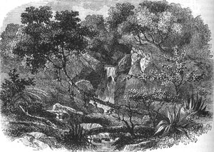 Neuseeländische Landschaft, ca. 1880