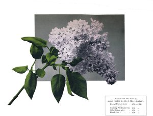 Kein Titel - John Kidd & Co. Ltd. Muster, 1910