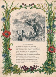 Nusssammeln, von Thomson, um 1900