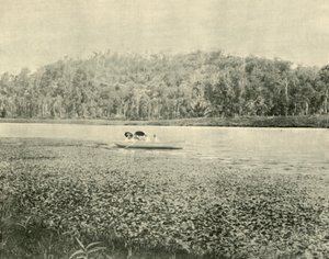 Am Enoggera-See, 1901