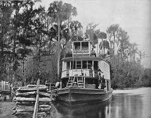 Am Ocklawaha River, Florida