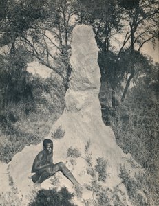 Einer der riesigen Ameisenhügel, die in einigen Gegenden Südafrikas vorkommen, um 1900 von Unbekannt