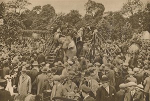 Eines der Zeichen unserer Zivilisation: Gut bestückte zoologische Gärten zur Freude der Neugierigen, ca. 193