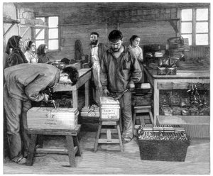 Verpacken von Patronen in Kisten in Isleten, nahe Flüelen, Schweiz, 1893