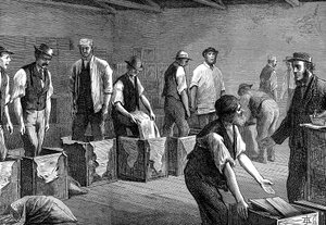 Verpackung von Tee in den Lagerhäusern der East & West India Dock Company, London, 1874