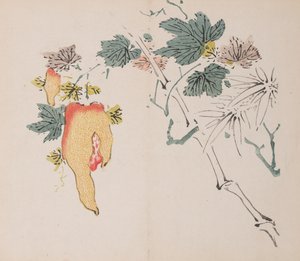 Seite aus Shi Zhu Zhai von Unbekannt