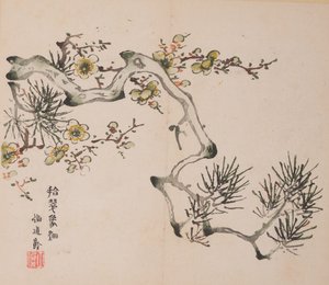 Seite aus Shi Zhu Zhai von Unbekannt