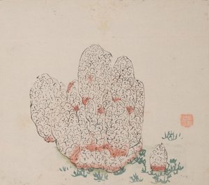 Seite aus Shi Zhu Zhai von Unbekannt