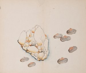 Seite aus Shi Zhu Zhai