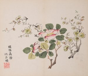 Seite aus Shi Zhu Zhai
