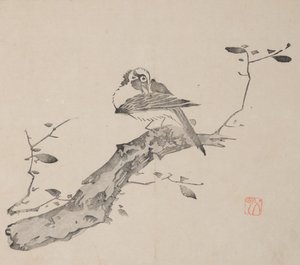 Seite aus Shi Zhu Zhai von Unbekannt