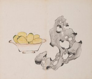 Seite aus Shi Zhu Zhai