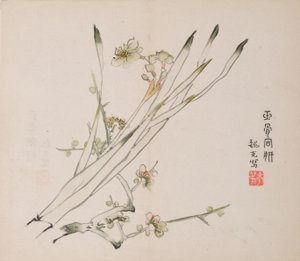 Seite aus Shi Zhu Zhai