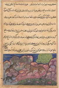 Seite aus Geschichten eines Papageis Tuti-nama: Fünfzehnte Nacht: Der Wolf rät dem Löwen..., 1558-1560