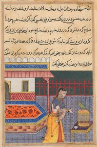 Seite aus den Geschichten eines Papageis Tuti-nama: Einundvierzigste Nacht: Der Papagei spricht zu Khujasta..., ca. 156